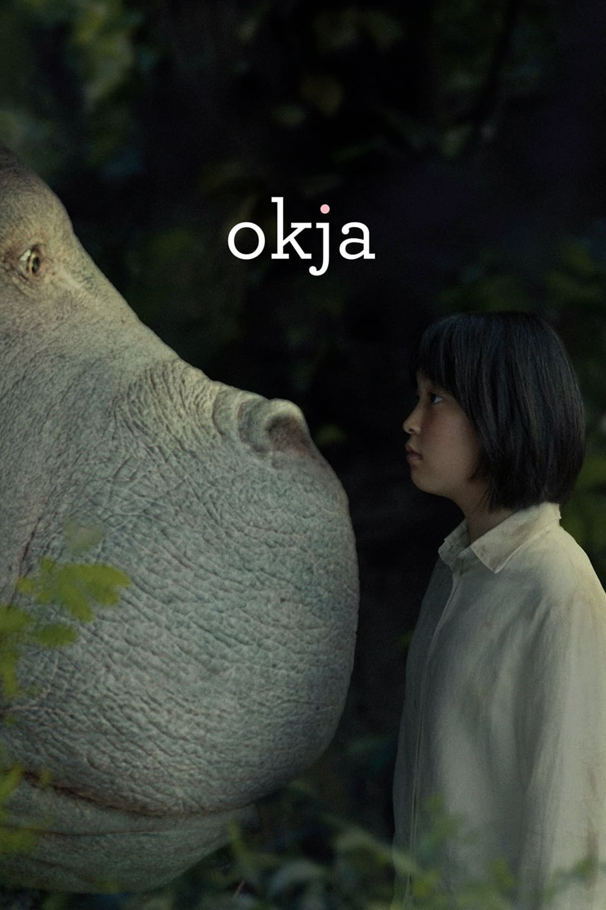 Постер Окча